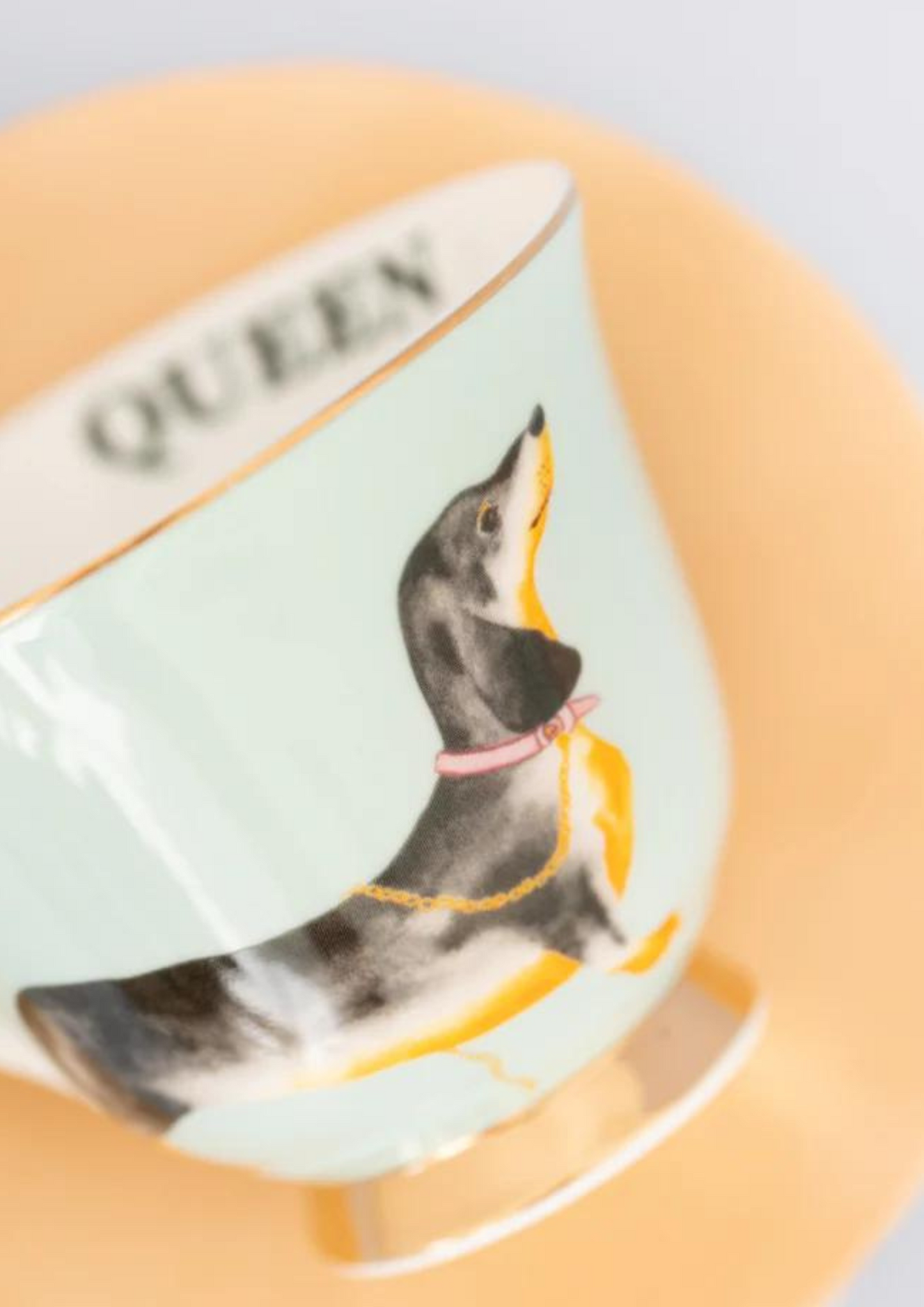 Tazza Tea - Bassotto Nero