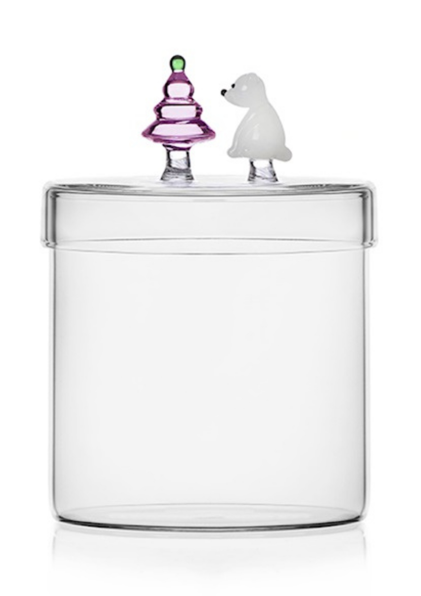 Scatola White Bear & Wish Tree