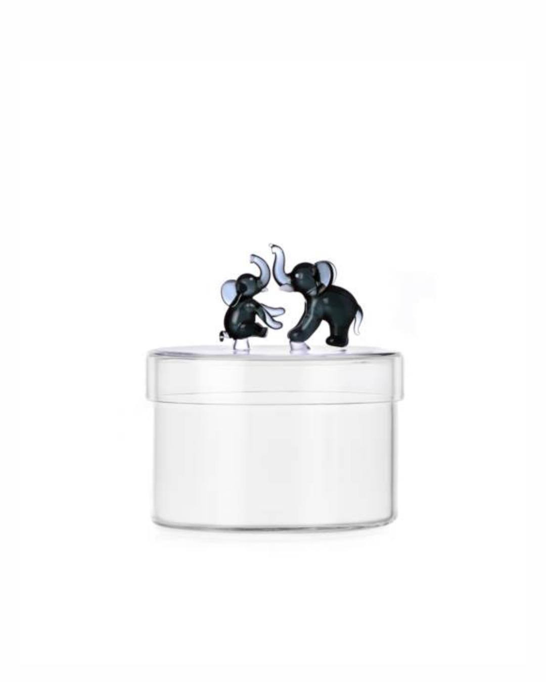 Scatola - TENDER TIES Box famiglia elefanti