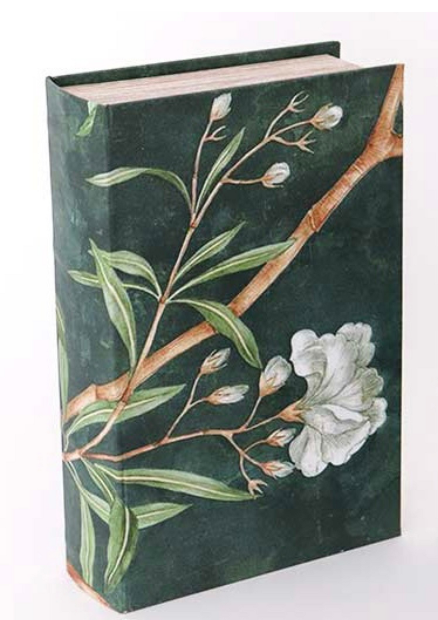 Book Box - Green
