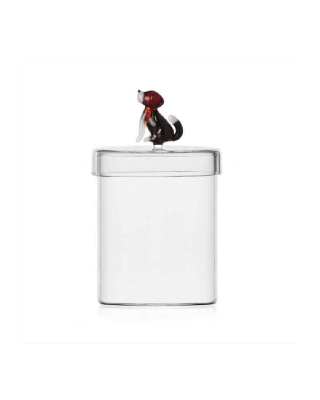 Scatola English Foxhound