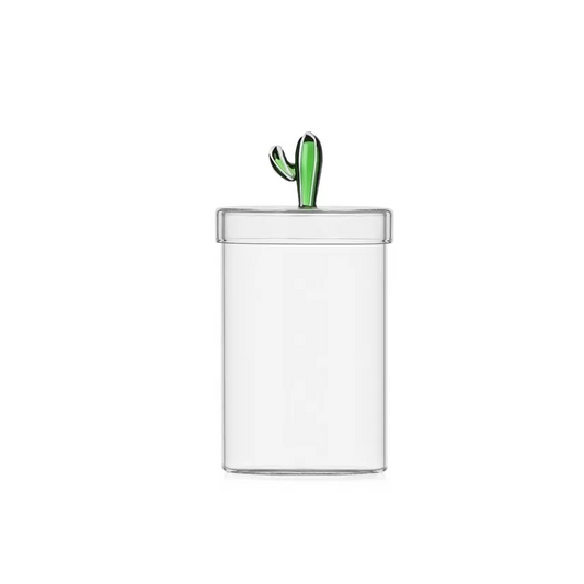 Scatola Cactus