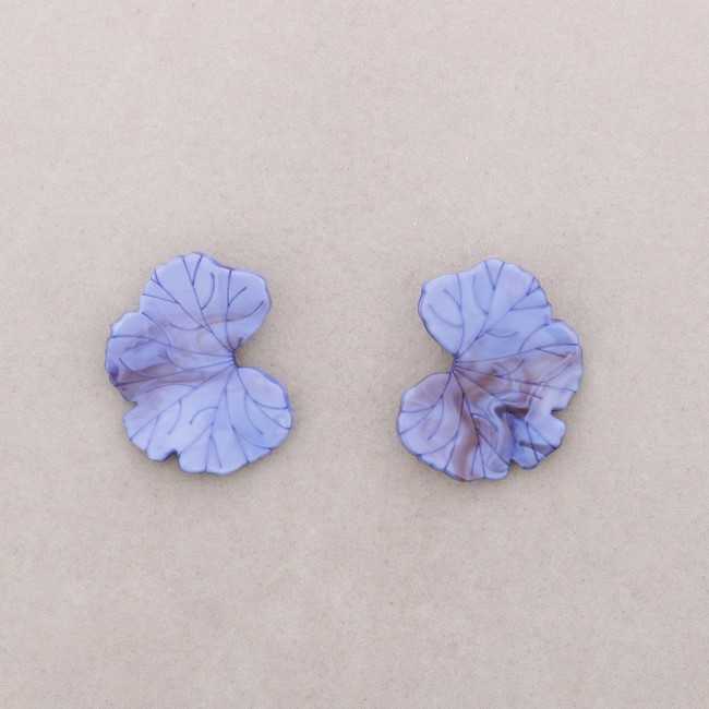 Orecchini Echeveria