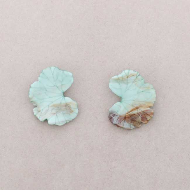 Orecchini Echeveria
