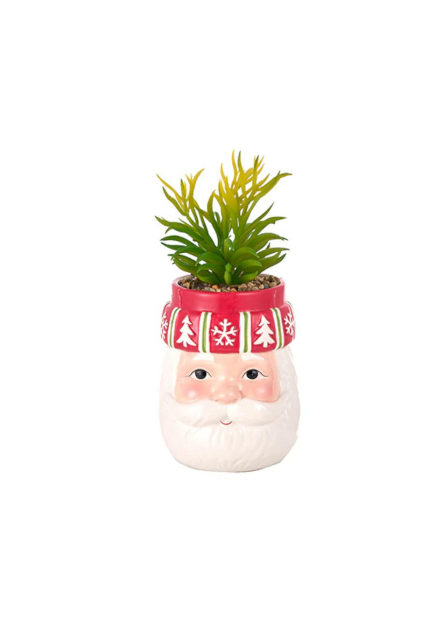 Pot with seedling - Santa Claus with red hat