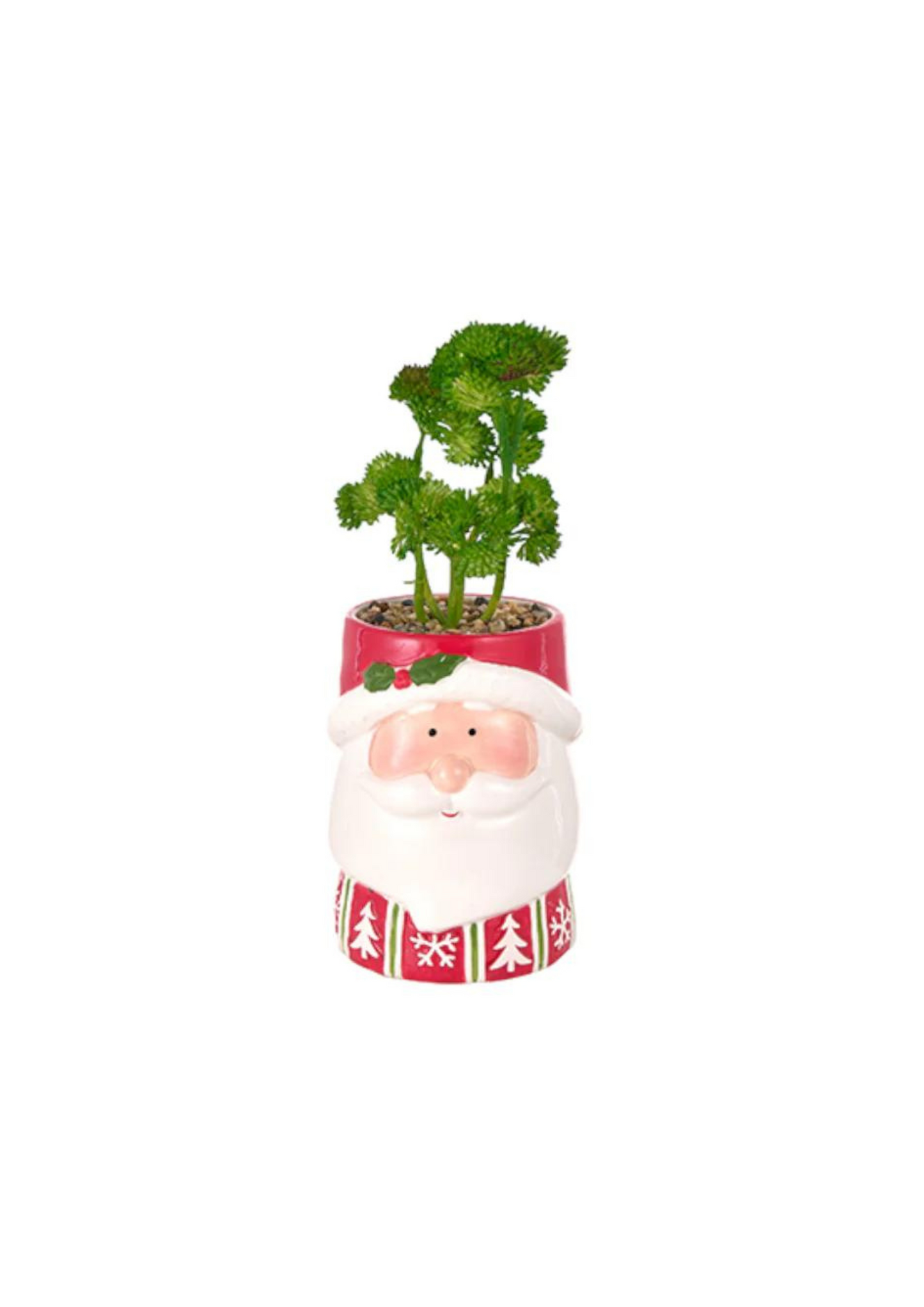 Pot with seedling - Santa Claus with mistletoe
