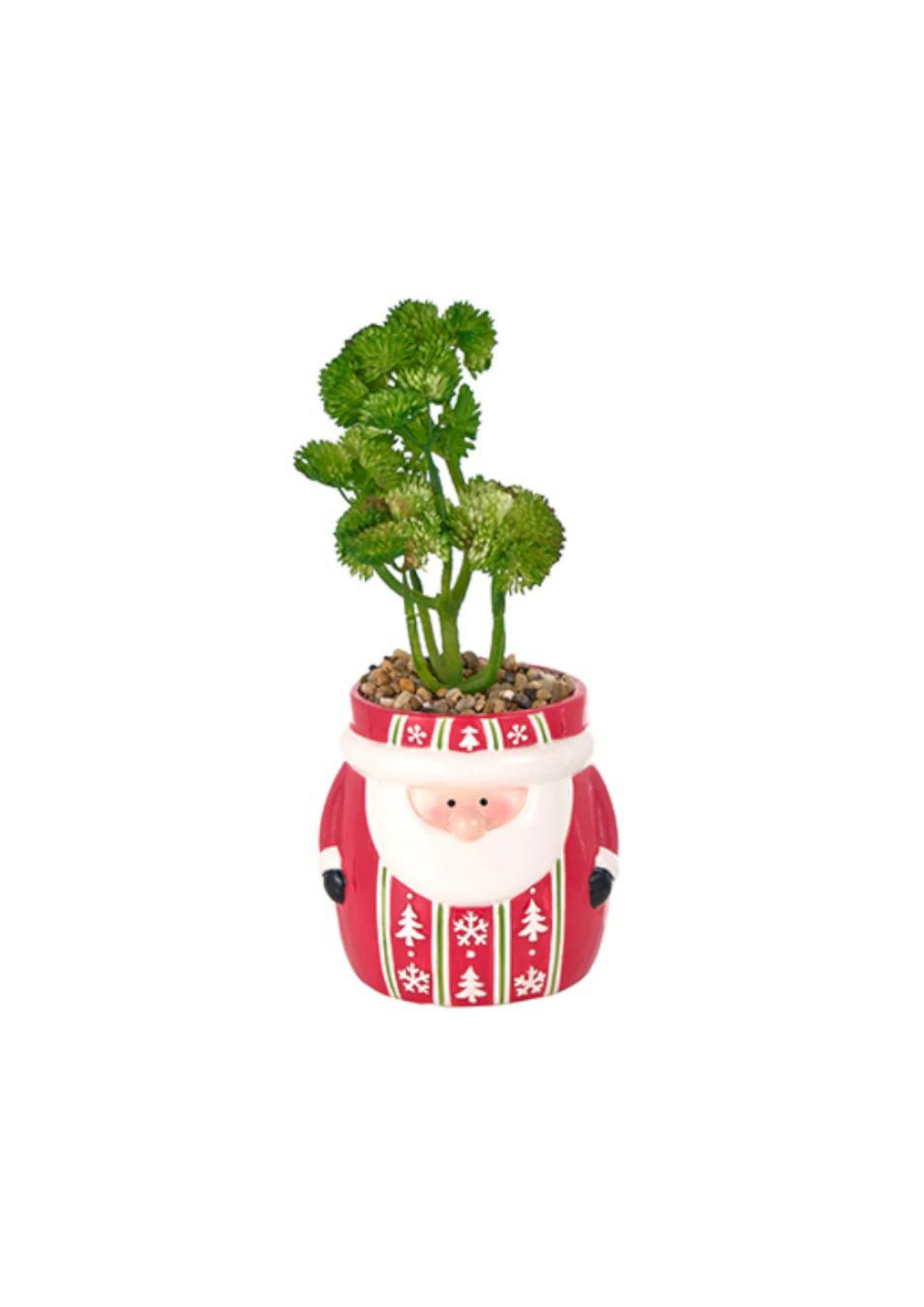 Pot with seedling - Chubby Santa Claus