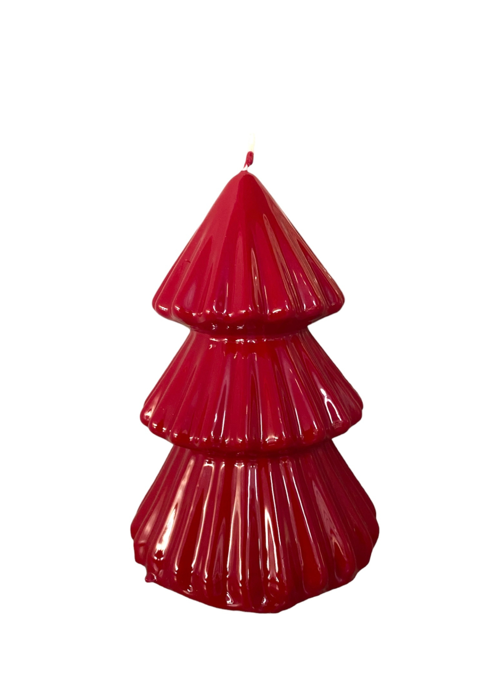 Candela Albero Ceralacca - Tokyo