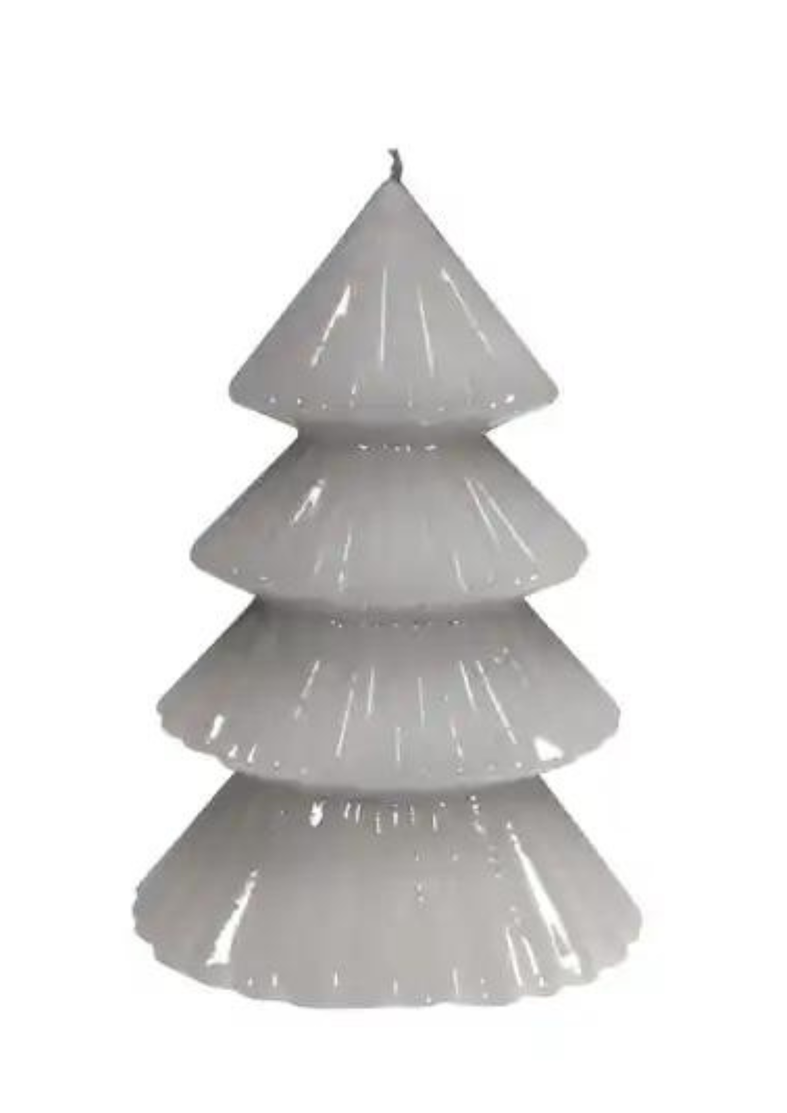 Candela Albero Ceralacca - Tokyo