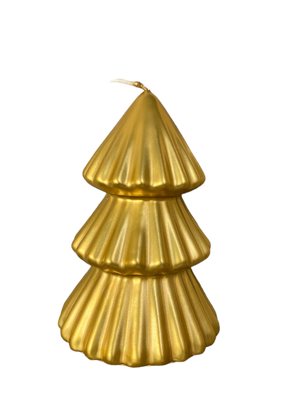 Candela Albero Ceralacca - Tokyo