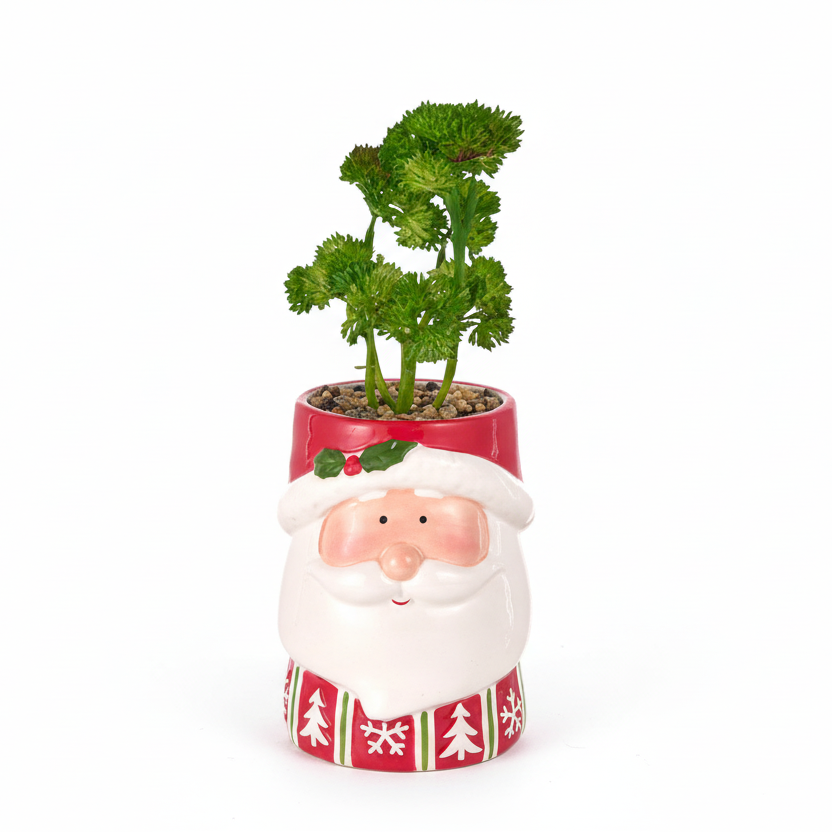 Vaso Babbo Natale cappello rosso con vischio