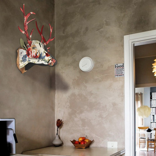 Trofeo Ecologico Cervo