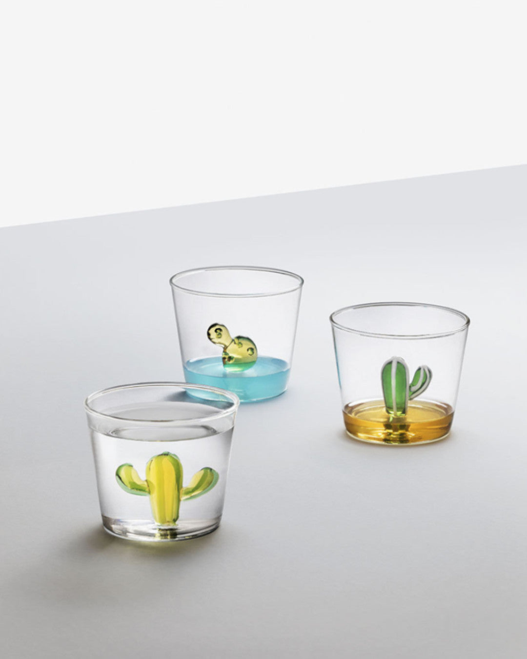 Service 6 Glasses - Desert Plant